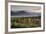 Fall Colors in the White Mountains, New Hampshire-Howie Garber-Framed Photographic Print