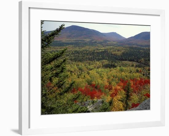 Fall Colors in Wassataquoik Valley, Northern Hardwood Forest, Maine-Jerry & Marcy Monkman-Framed Photographic Print