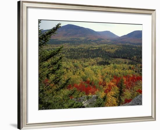 Fall Colors in Wassataquoik Valley, Northern Hardwood Forest, Maine-Jerry & Marcy Monkman-Framed Photographic Print