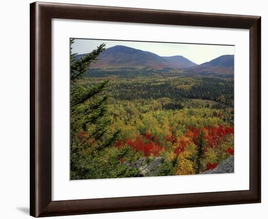 Fall Colors in Wassataquoik Valley, Northern Hardwood Forest, Maine-Jerry & Marcy Monkman-Framed Photographic Print