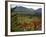 Fall Colors in Wassataquoik Valley, Northern Hardwood Forest, Maine-Jerry & Marcy Monkman-Framed Photographic Print