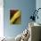 Fall Colors IV-Monika Burkhart-Photographic Print displayed on a wall