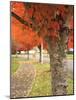 Fall Colors, Keizer, Oregon, USA-Rick A. Brown-Mounted Photographic Print