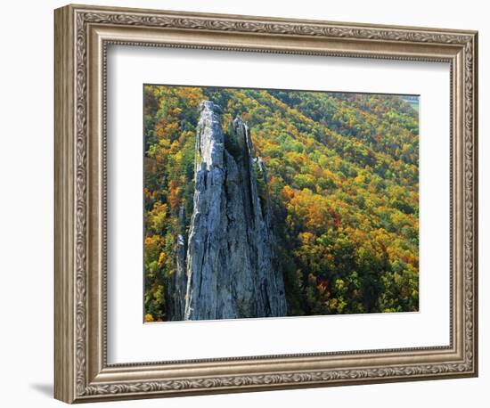 Fall Colors, Monongahela National Forest West Virginia, USA-Charles Gurche-Framed Photographic Print