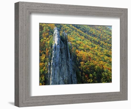 Fall Colors, Monongahela National Forest West Virginia, USA-Charles Gurche-Framed Photographic Print