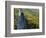 Fall Colors, Monongahela National Forest West Virginia, USA-Charles Gurche-Framed Photographic Print