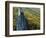 Fall Colors, Monongahela National Forest West Virginia, USA-Charles Gurche-Framed Photographic Print