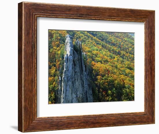 Fall Colors, Monongahela National Forest West Virginia, USA-Charles Gurche-Framed Photographic Print