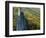 Fall Colors, Monongahela National Forest West Virginia, USA-Charles Gurche-Framed Photographic Print