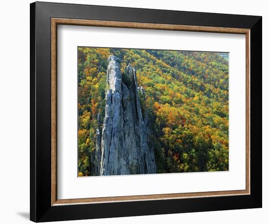 Fall Colors, Monongahela National Forest West Virginia, USA-Charles Gurche-Framed Photographic Print