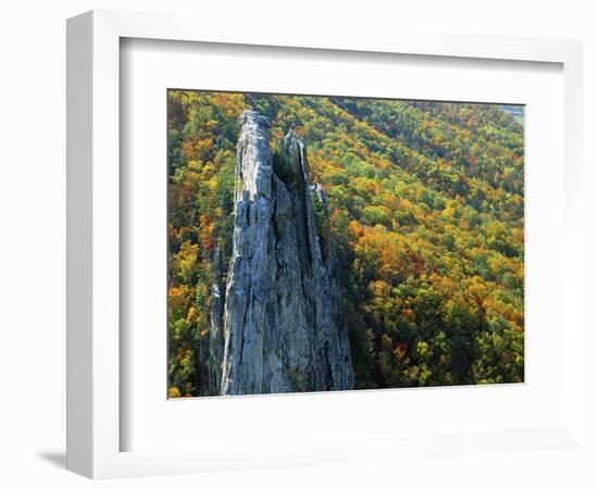 Fall Colors, Monongahela National Forest West Virginia, USA-Charles Gurche-Framed Photographic Print