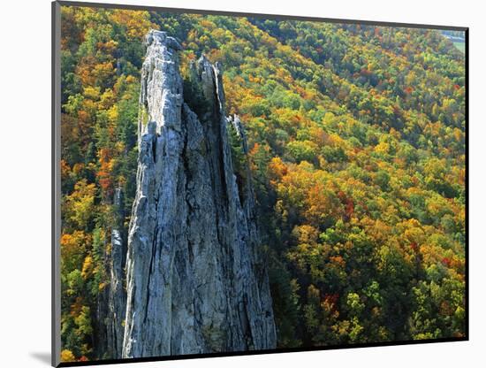 Fall Colors, Monongahela National Forest West Virginia, USA-Charles Gurche-Mounted Photographic Print