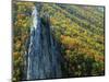 Fall Colors, Monongahela National Forest West Virginia, USA-Charles Gurche-Mounted Photographic Print