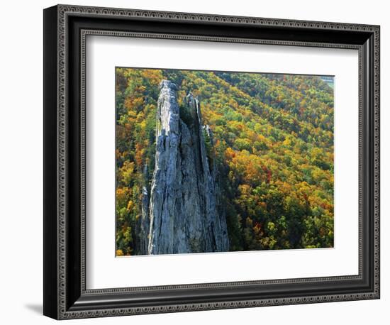 Fall Colors, Monongahela National Forest West Virginia, USA-Charles Gurche-Framed Photographic Print