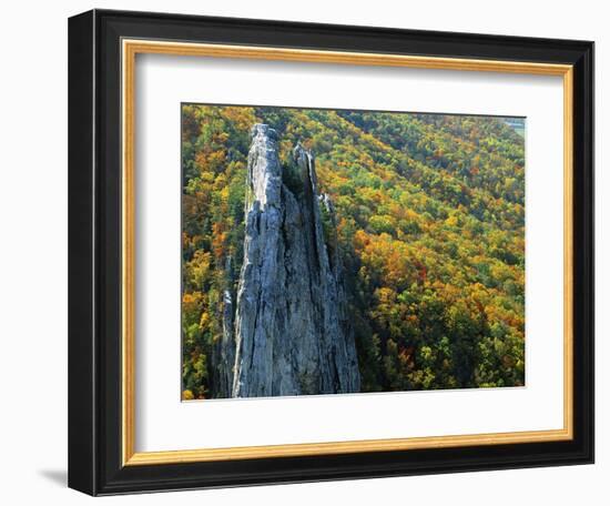 Fall Colors, Monongahela National Forest West Virginia, USA-Charles Gurche-Framed Photographic Print