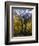 Fall Colors of Aspens with Evergreens, Near Ouray, Colorado-James Hager-Framed Photographic Print