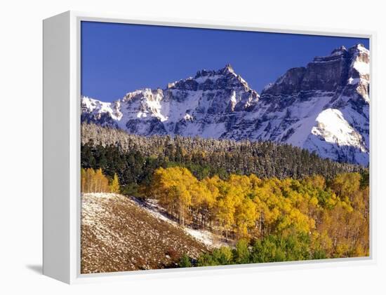 Fall Colors on Aspen Trees, Maroon Bells, Snowmass Wilderness, Colorado, USA-Gavriel Jecan-Framed Premier Image Canvas