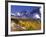 Fall Colors on Aspen Trees, Maroon Bells, Snowmass Wilderness, Colorado, USA-Gavriel Jecan-Framed Photographic Print