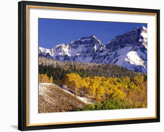 Fall Colors on Aspen Trees, Maroon Bells, Snowmass Wilderness, Colorado, USA-Gavriel Jecan-Framed Photographic Print