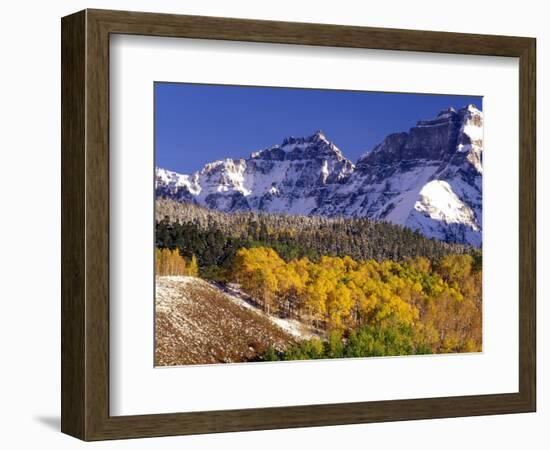 Fall Colors on Aspen Trees, Maroon Bells, Snowmass Wilderness, Colorado, USA-Gavriel Jecan-Framed Photographic Print