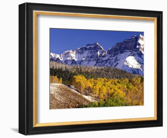 Fall Colors on Aspen Trees, Maroon Bells, Snowmass Wilderness, Colorado, USA-Gavriel Jecan-Framed Photographic Print