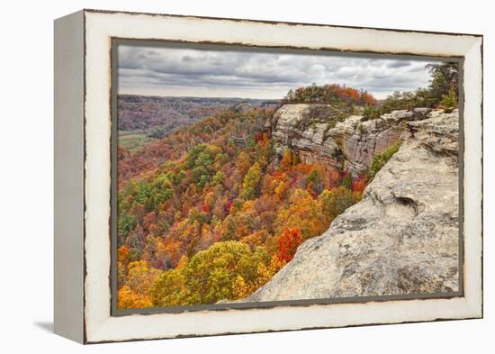 Fall colors, Red River Gorge, Kentucky-Adam Jones-Framed Premier Image Canvas