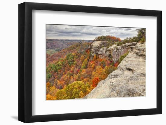 Fall colors, Red River Gorge, Kentucky-Adam Jones-Framed Photographic Print