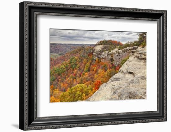 Fall colors, Red River Gorge, Kentucky-Adam Jones-Framed Photographic Print
