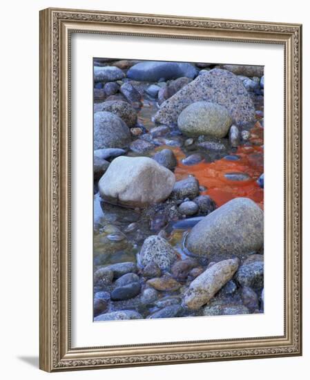 Fall Colors Reflect in Saco River, New Hampshire, USA-Jerry & Marcy Monkman-Framed Photographic Print