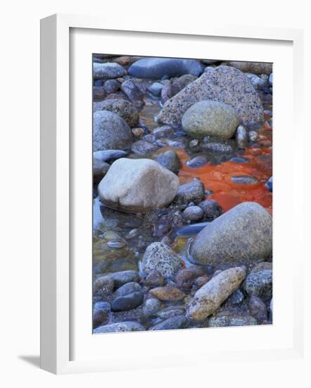 Fall Colors Reflect in Saco River, New Hampshire, USA-Jerry & Marcy Monkman-Framed Photographic Print