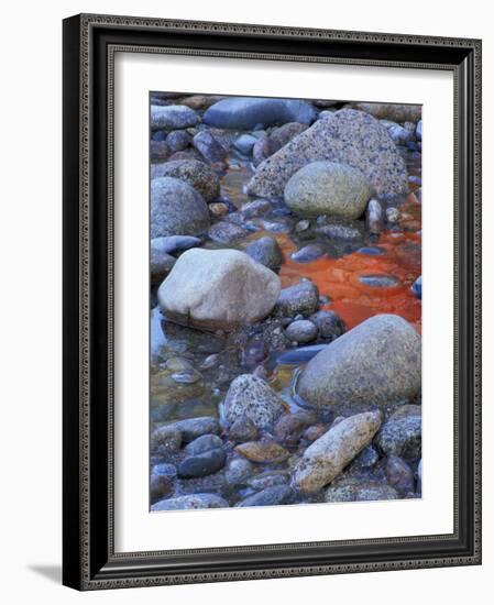 Fall Colors Reflect in Saco River, New Hampshire, USA-Jerry & Marcy Monkman-Framed Photographic Print