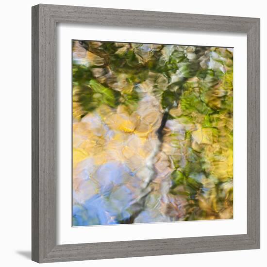 Fall colors reflect in the rippled waters of a pond, looking like a painting.-Brenda Tharp-Framed Photographic Print