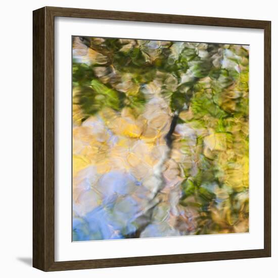 Fall colors reflect in the rippled waters of a pond, looking like a painting.-Brenda Tharp-Framed Photographic Print