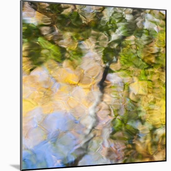 Fall colors reflect in the rippled waters of a pond, looking like a painting.-Brenda Tharp-Mounted Photographic Print
