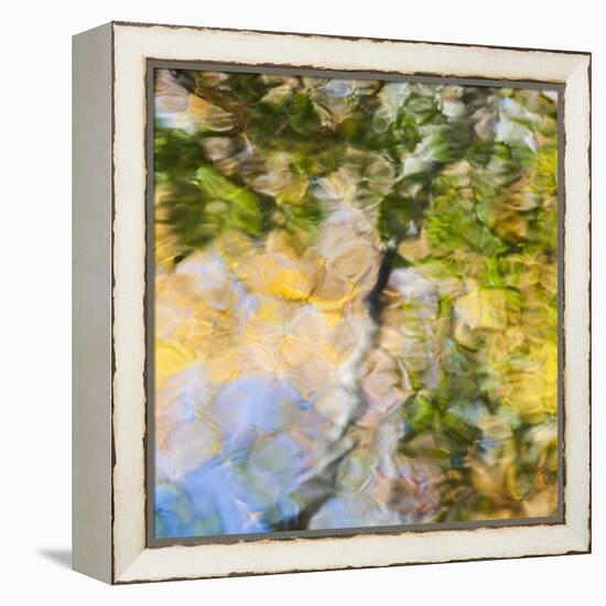 Fall colors reflect in the rippled waters of a pond, looking like a painting.-Brenda Tharp-Framed Premier Image Canvas