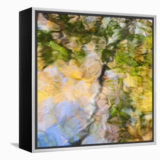 Fall colors reflect in the rippled waters of a pond, looking like a painting.-Brenda Tharp-Framed Premier Image Canvas