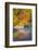 Fall Colors Reflect in the Saco River, New Hampshire. White Mountains-Jerry & Marcy Monkman-Framed Photographic Print