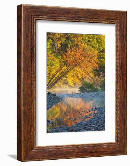 Fall Colors Reflect in the Saco River, New Hampshire. White Mountains-Jerry & Marcy Monkman-Framed Photographic Print