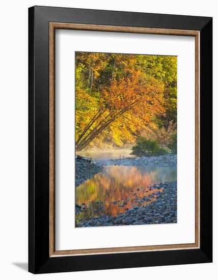 Fall Colors Reflect in the Saco River, New Hampshire. White Mountains-Jerry & Marcy Monkman-Framed Photographic Print