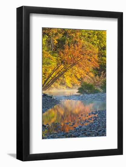 Fall Colors Reflect in the Saco River, New Hampshire. White Mountains-Jerry & Marcy Monkman-Framed Photographic Print