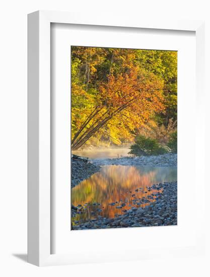 Fall Colors Reflect in the Saco River, New Hampshire. White Mountains-Jerry & Marcy Monkman-Framed Photographic Print