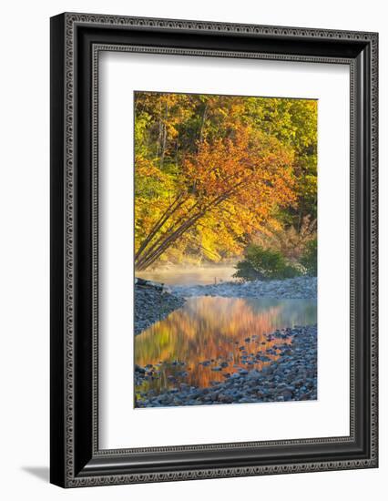 Fall Colors Reflect in the Saco River, New Hampshire. White Mountains-Jerry & Marcy Monkman-Framed Photographic Print