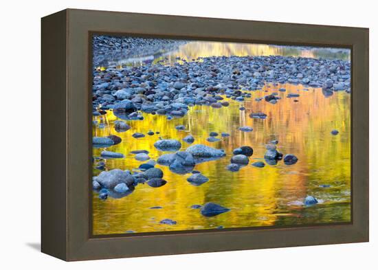 Fall Colors Reflect in the Saco River, New Hampshire. White Mountains-Jerry & Marcy Monkman-Framed Premier Image Canvas