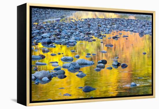 Fall Colors Reflect in the Saco River, New Hampshire. White Mountains-Jerry & Marcy Monkman-Framed Premier Image Canvas