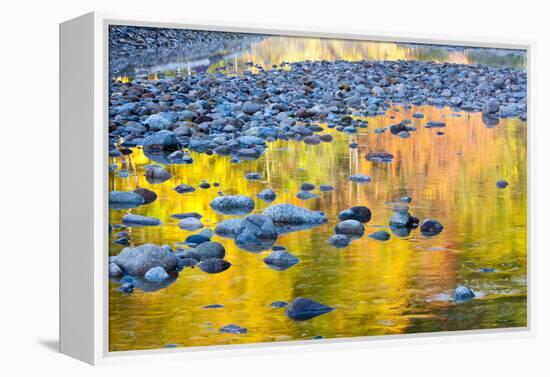 Fall Colors Reflect in the Saco River, New Hampshire. White Mountains-Jerry & Marcy Monkman-Framed Premier Image Canvas