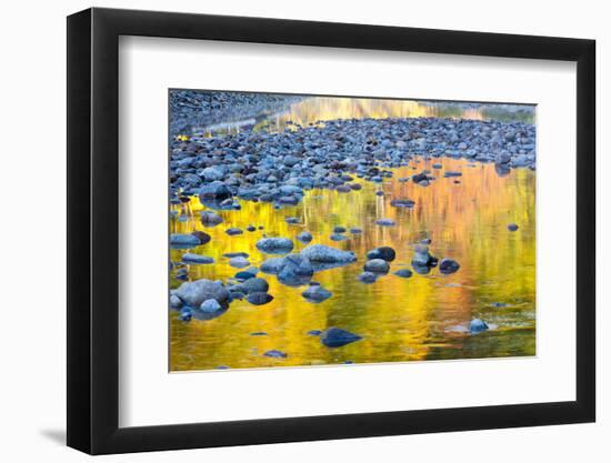 Fall Colors Reflect in the Saco River, New Hampshire. White Mountains-Jerry & Marcy Monkman-Framed Photographic Print