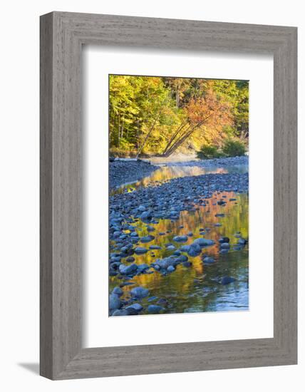 Fall Colors Reflect in the Saco River, New Hampshire. White Mountains-Jerry & Marcy Monkman-Framed Photographic Print