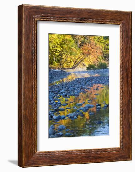 Fall Colors Reflect in the Saco River, New Hampshire. White Mountains-Jerry & Marcy Monkman-Framed Photographic Print