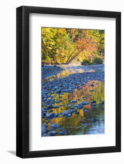 Fall Colors Reflect in the Saco River, New Hampshire. White Mountains-Jerry & Marcy Monkman-Framed Photographic Print