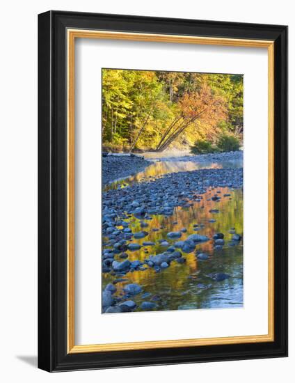 Fall Colors Reflect in the Saco River, New Hampshire. White Mountains-Jerry & Marcy Monkman-Framed Photographic Print